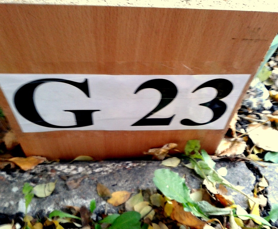2012-11-12_14.58.21.jpg 2012-11-12_14.58.21.jpg
