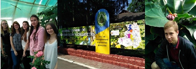 Чорний ліс