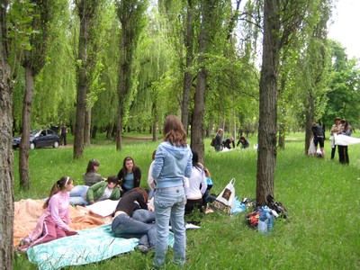 img_1446.jpg