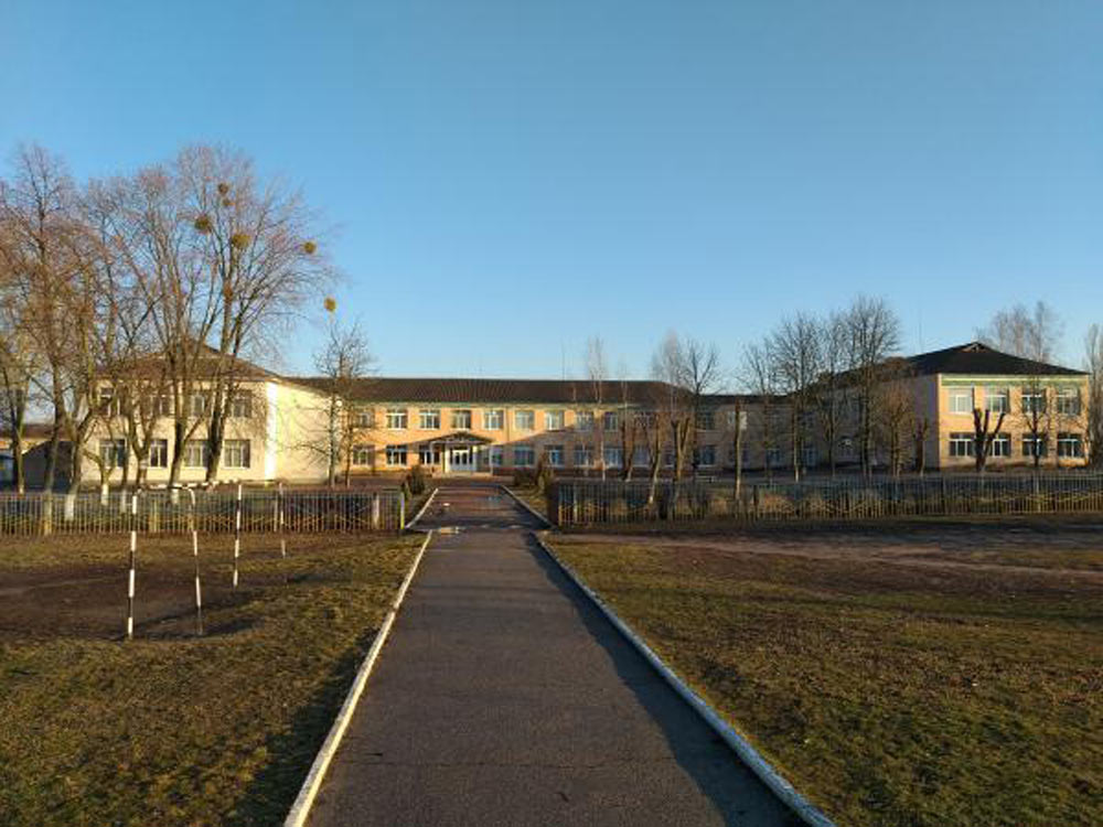 До Дня Гідності та Свободи: профорієнтаційна зустріч у Великосеверинівському ліцеї